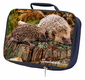 Hedgehogs 