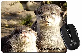 Cute Otters 