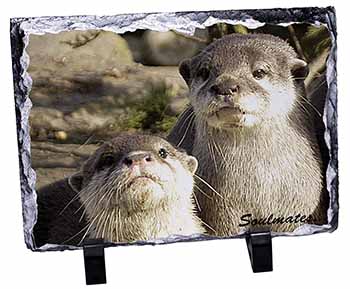Cute Otters 