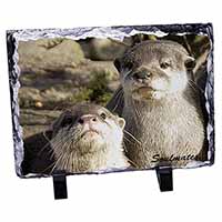 Cute Otters 