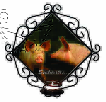 Pigs in Love Sty 