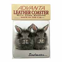 Silver Rabbits 
