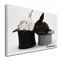 Rabbits in Top Hats 