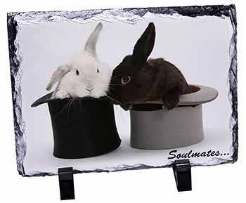 Rabbits in Top Hats 