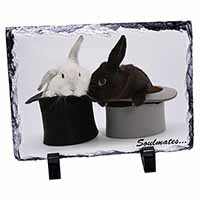 Rabbits in Top Hats 