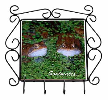 Pond Frogs 