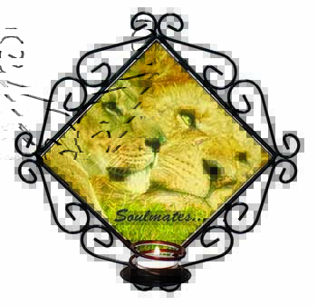 Lions in Love 