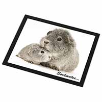 Silver Guinea Pigs 