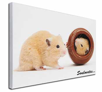 Hamsters in Pot Soulmates