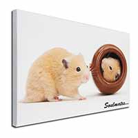 Hamsters in Pot Soulmates