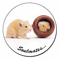 Hamsters in Pot Soulmates