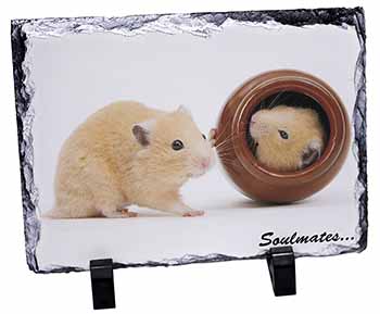 Hamsters in Pot Soulmates