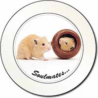 Hamsters in Pot Soulmates