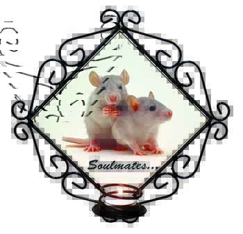 Silver Rats 