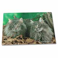 Large Glass Cutting Chopping Board Norwegian Forest Cats 