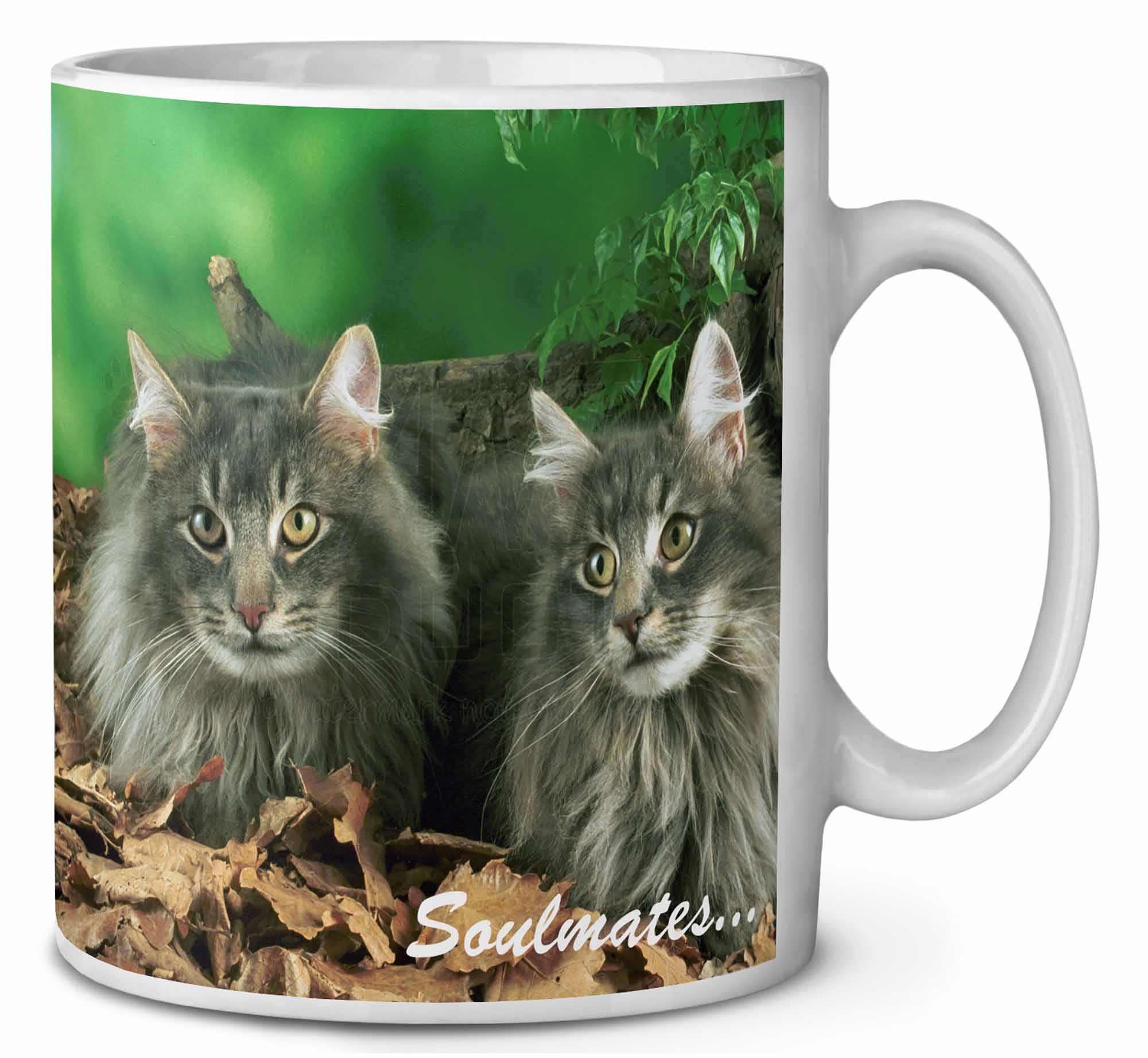 SOUL-8MG Norwegian Forest Cats 'Soulmates' Coffee/Tea Mug Christmas Stocking Fi 