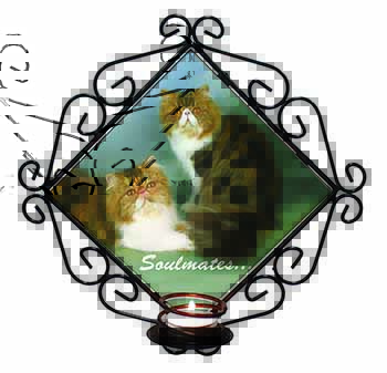 Persian Cats 