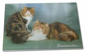 Large Glass Cutting Chopping Board Persian Cats 