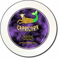 Capricorn Star Sign Birthday Gift Car or Van Permit Holder/Tax Disc Holder