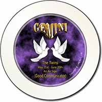 Gemini Star Sign Birthday Gift Car or Van Permit Holder/Tax Disc Holder