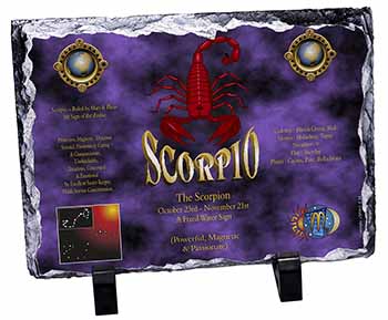 Scorpio Star Sign of the Zodiac, Stunning Photo Slate