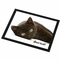 Black Cat 