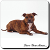 Staffordshire bull Terrier "Love You Mum..." Single leather Coaster Gift